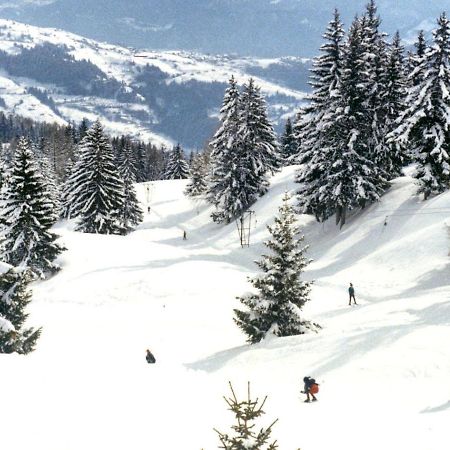 Woodland Village Anzere Ayent Экстерьер фото